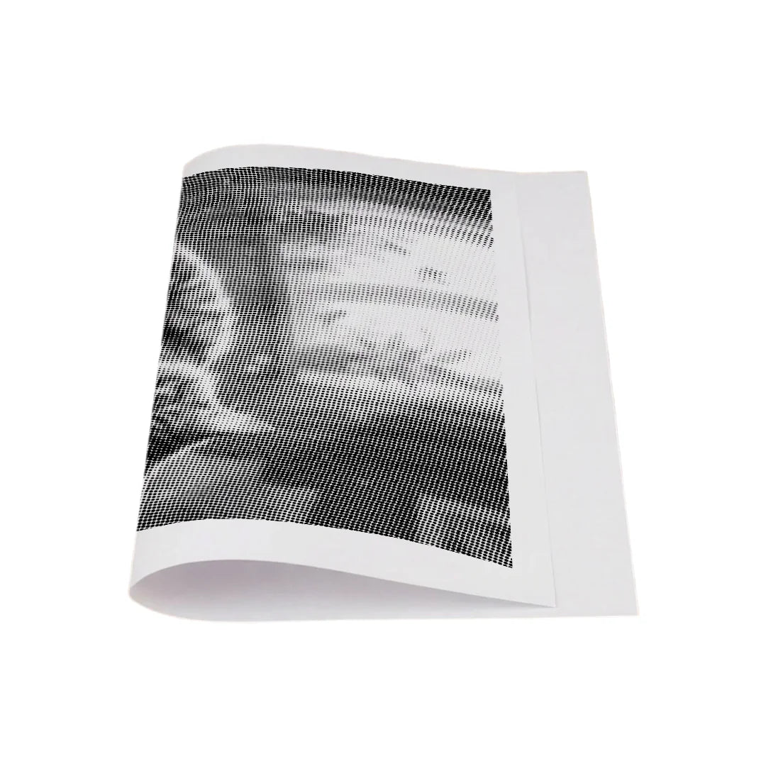 Peinture à points de chat endormi