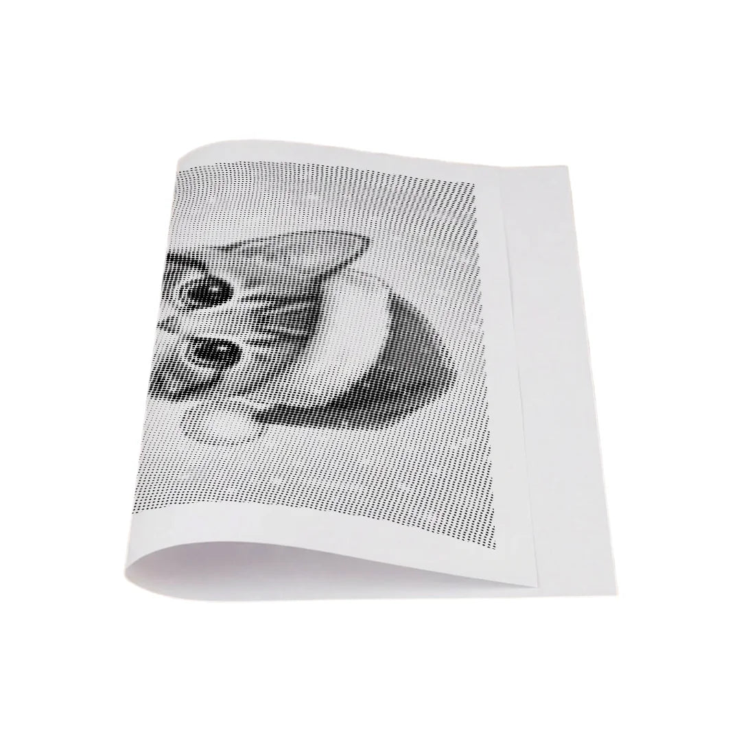 Chaton avec peinture à pois de chapeau de Père Noël