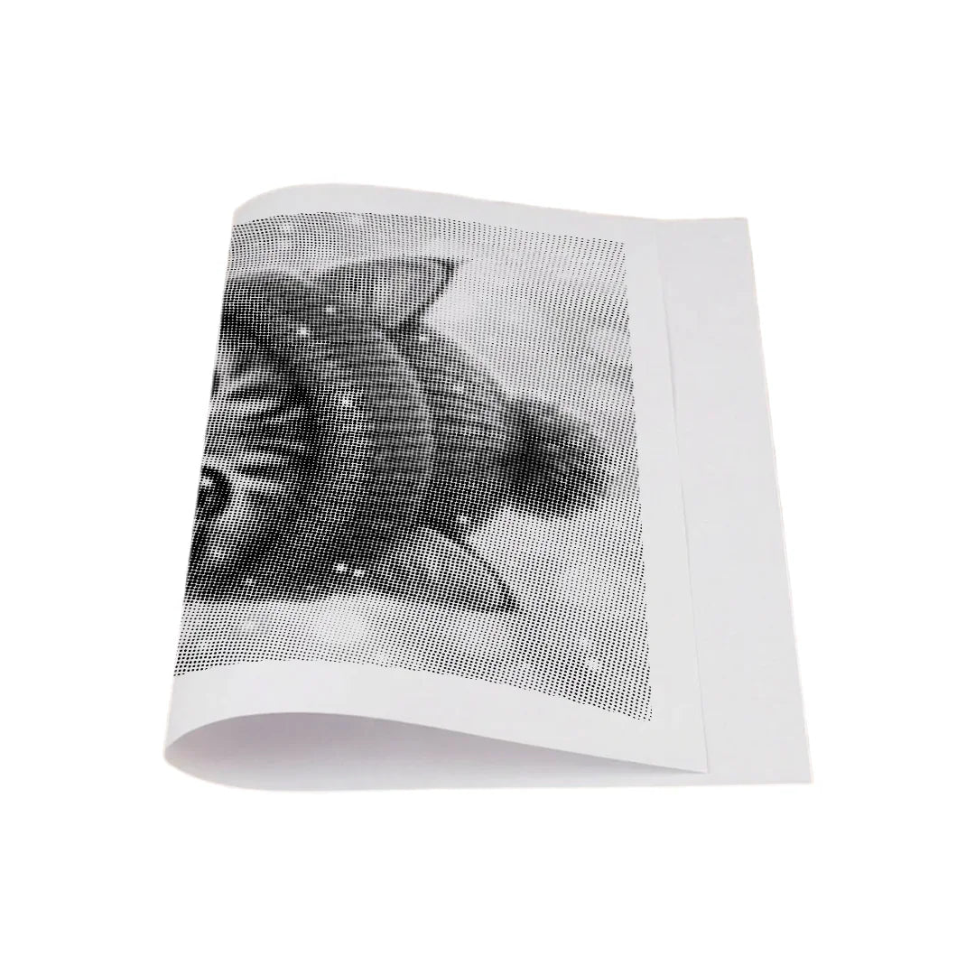 Peinture à pois de chaton d’hiver