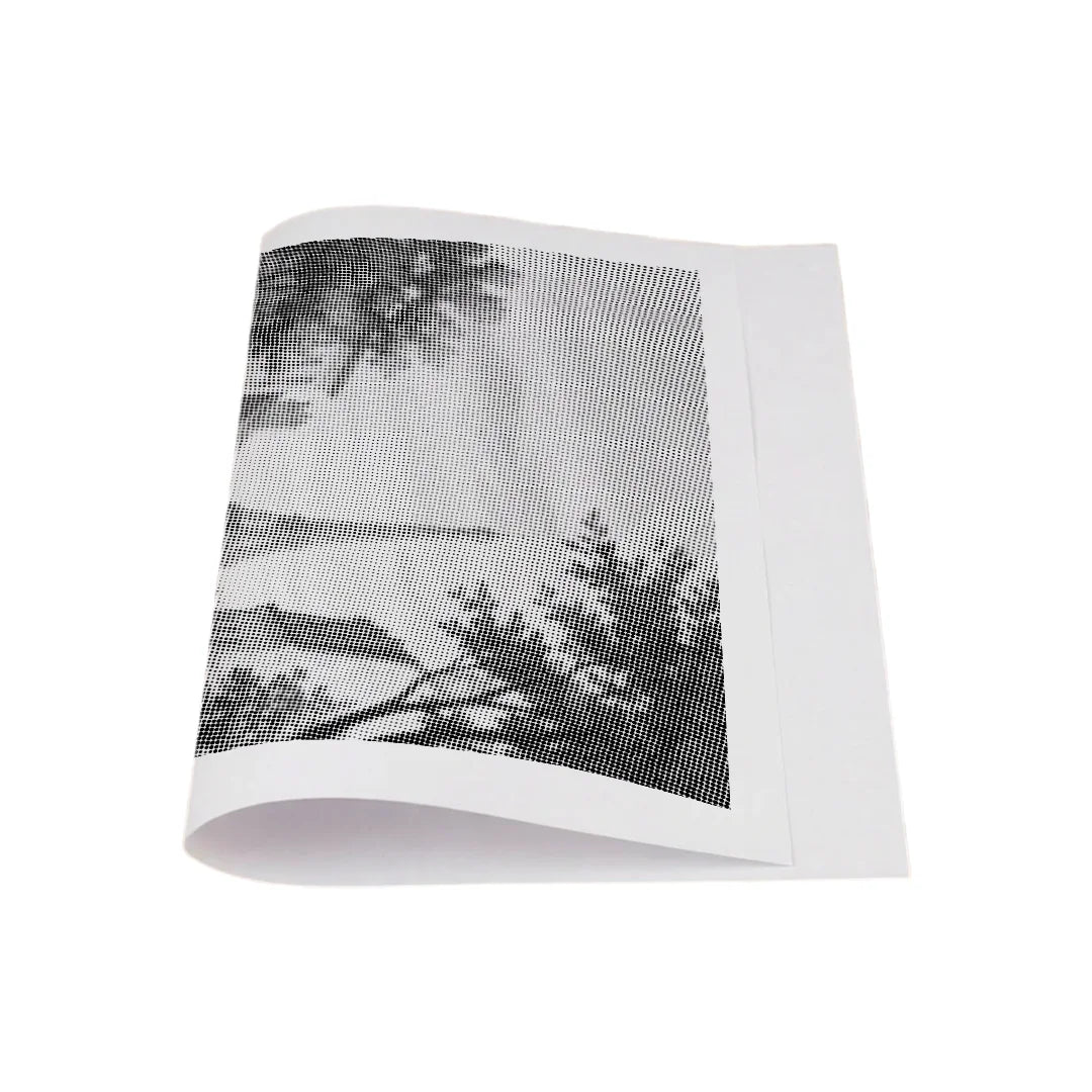 Vieille Coccinelle à Paris Dot Painting