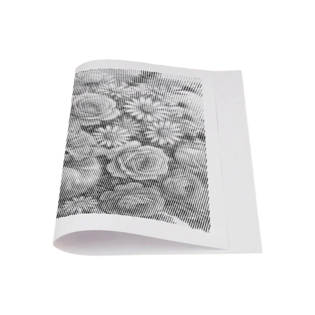 Chat sur un livre Dot Painting
