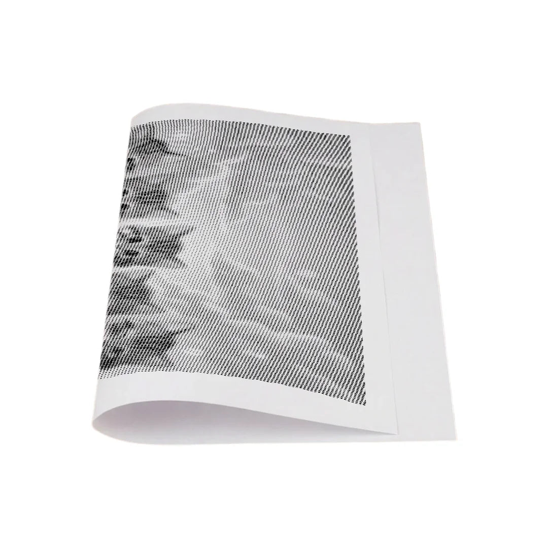 Chatons sur la peinture à points de clôture