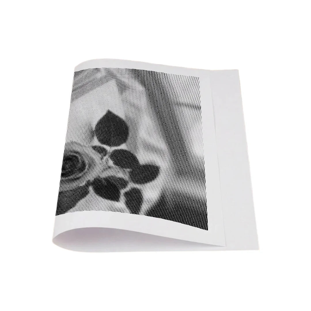 Rose avec peinture à points de livre