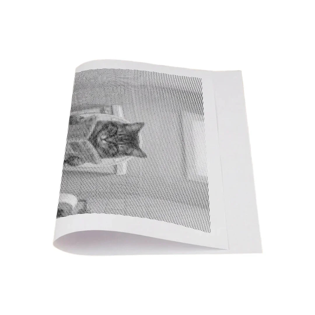 Chat sur la peinture à pois des toilettes