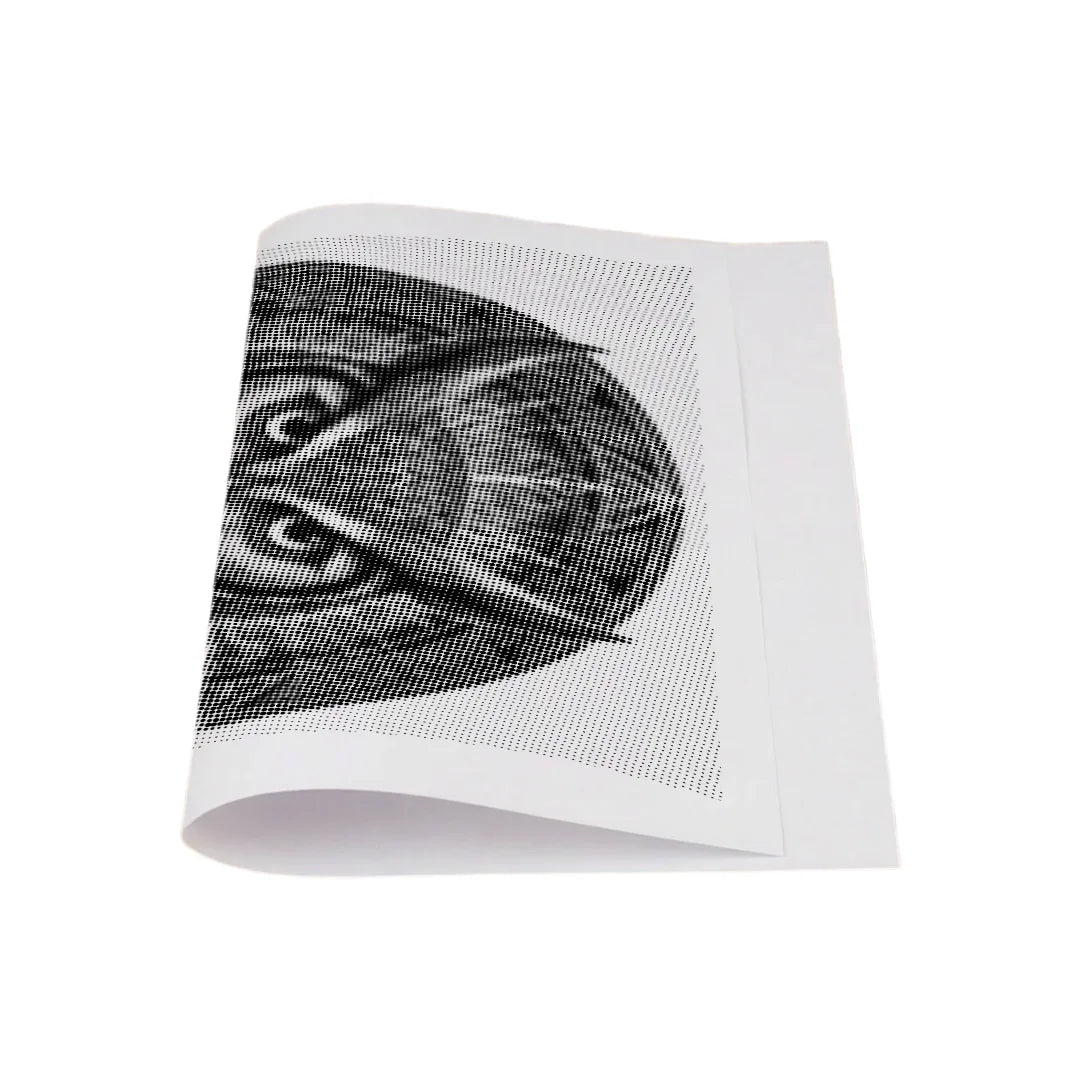 Peinture à points de mandala hibou