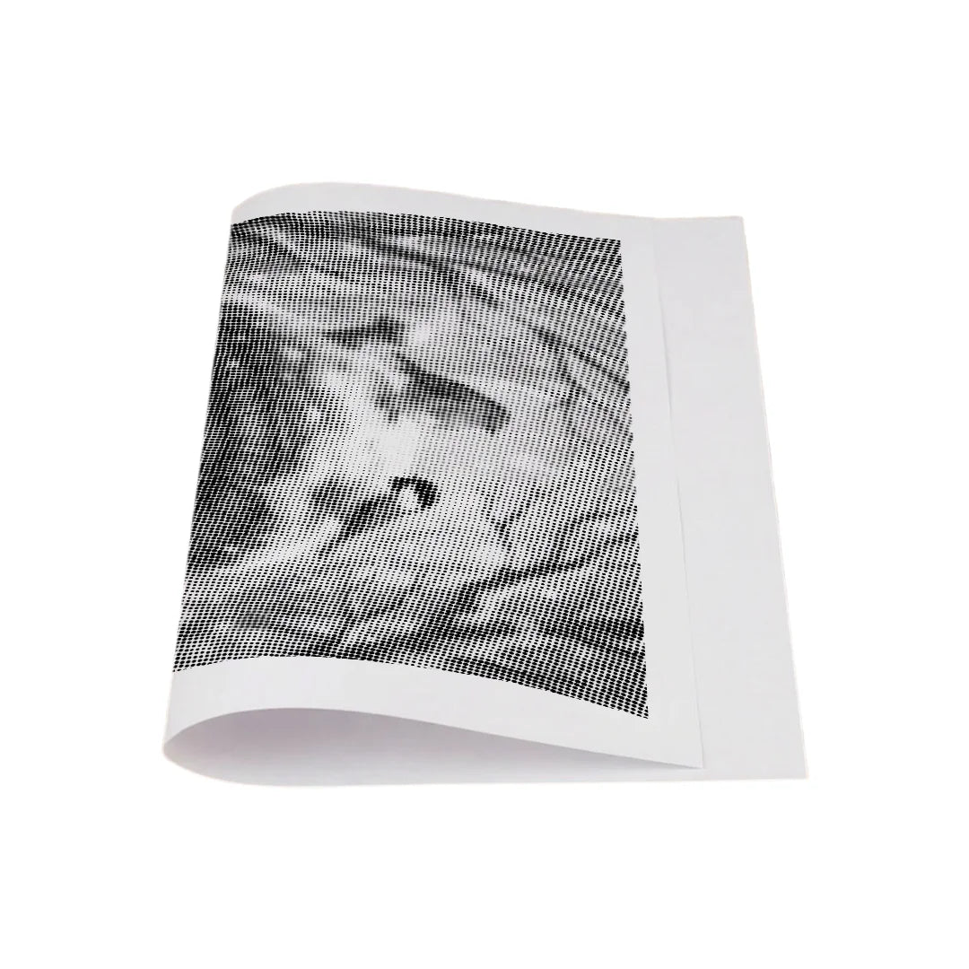 Chaton et oiseaux dans la peinture à points de neige