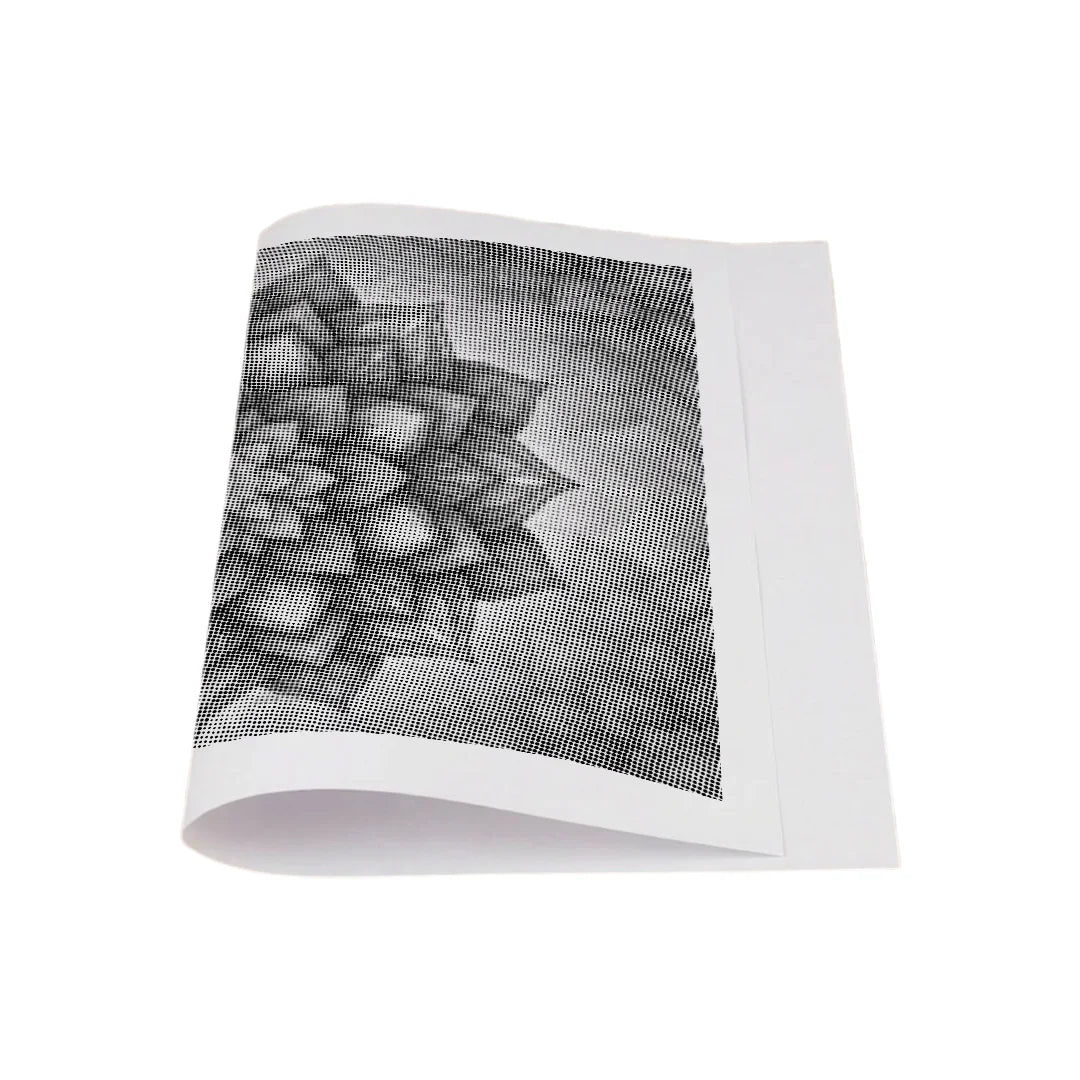 Peinture de points de mandala