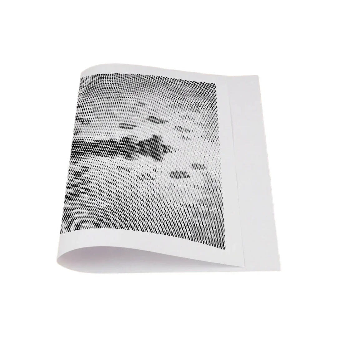 Oiseaux à la peinture à points de fontaine