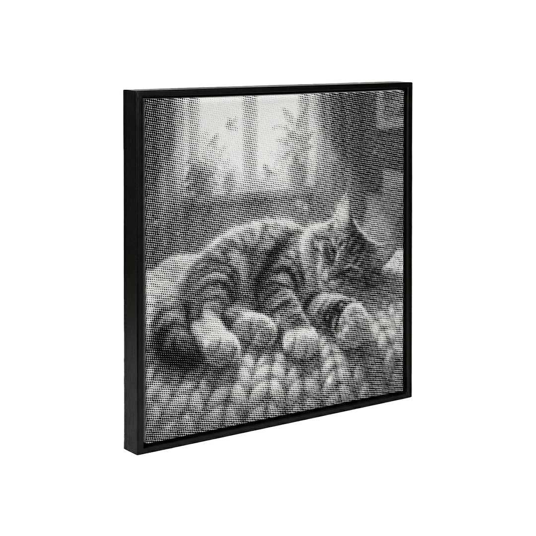 Peinture à points de chat endormi