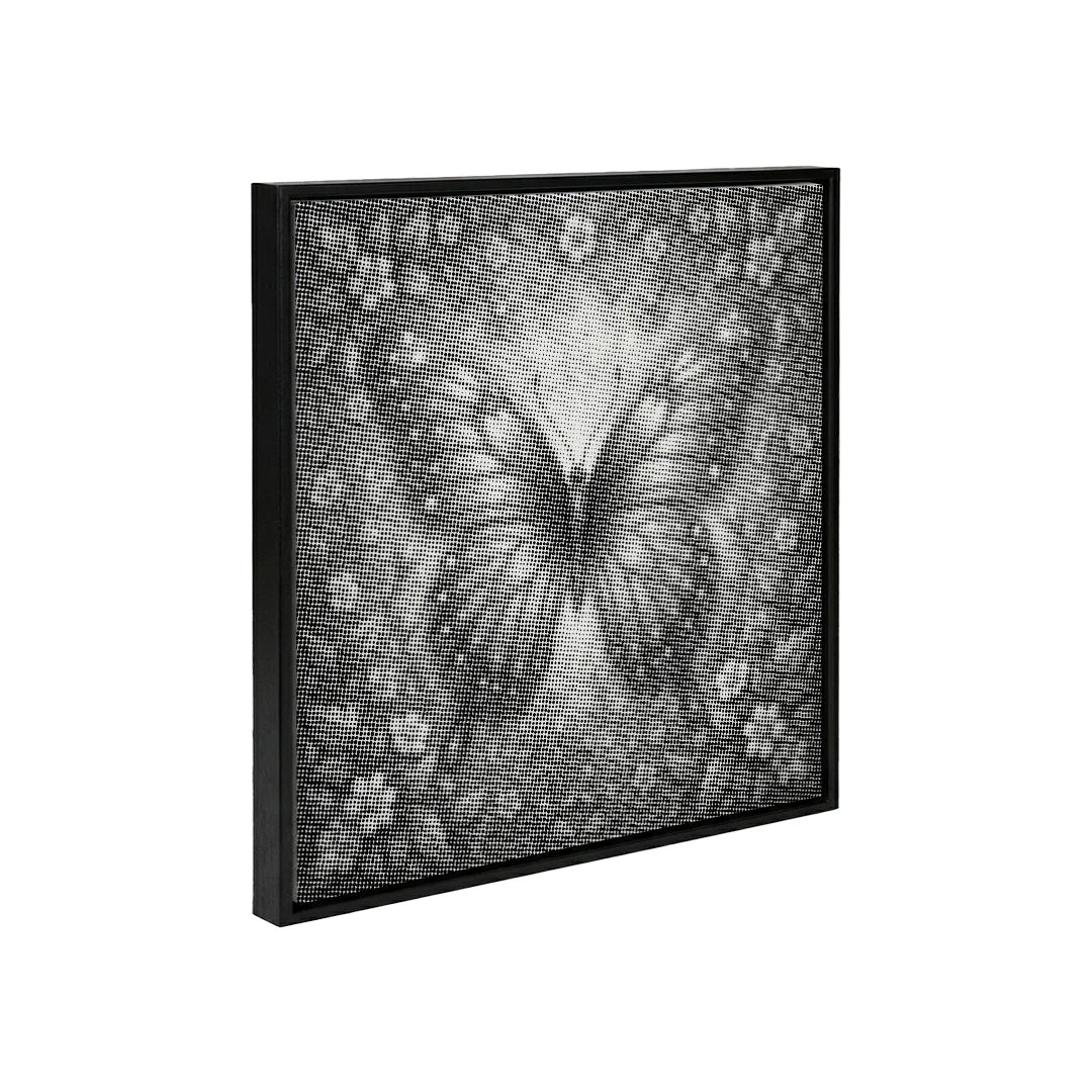 Peinture à pois papillon 3D