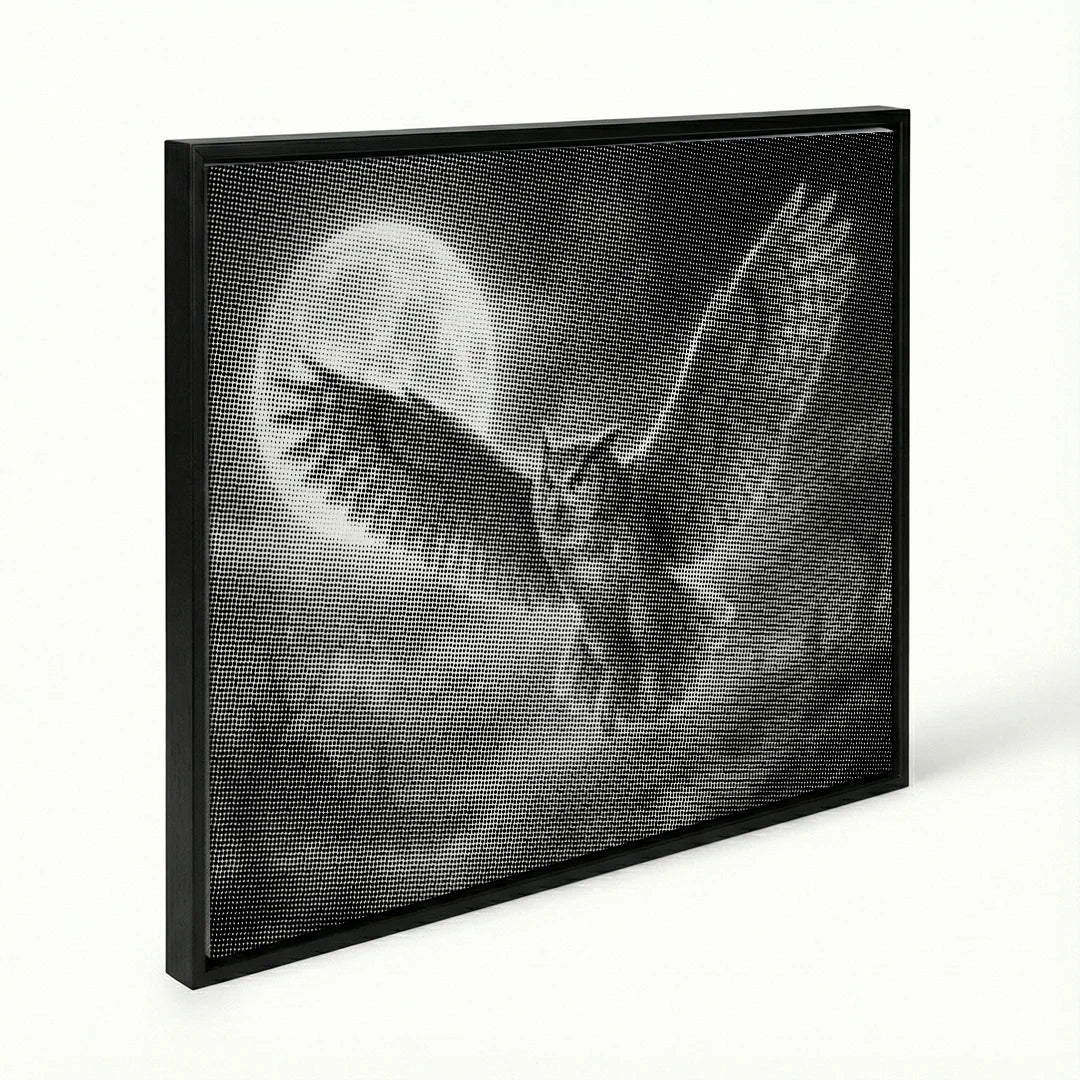 Peinture à points de hibou et de lune