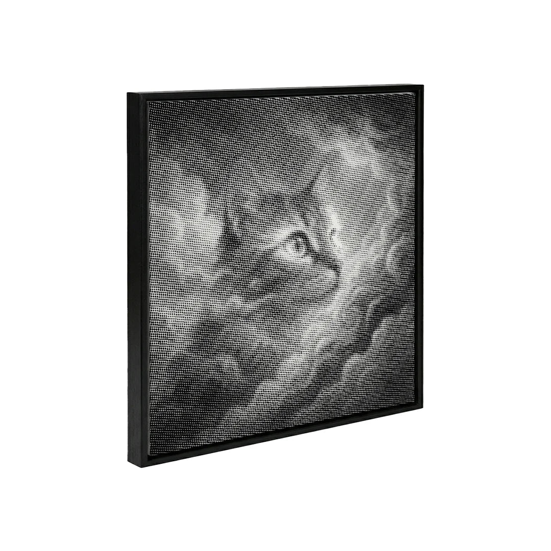 Peinture à points Cloudcat