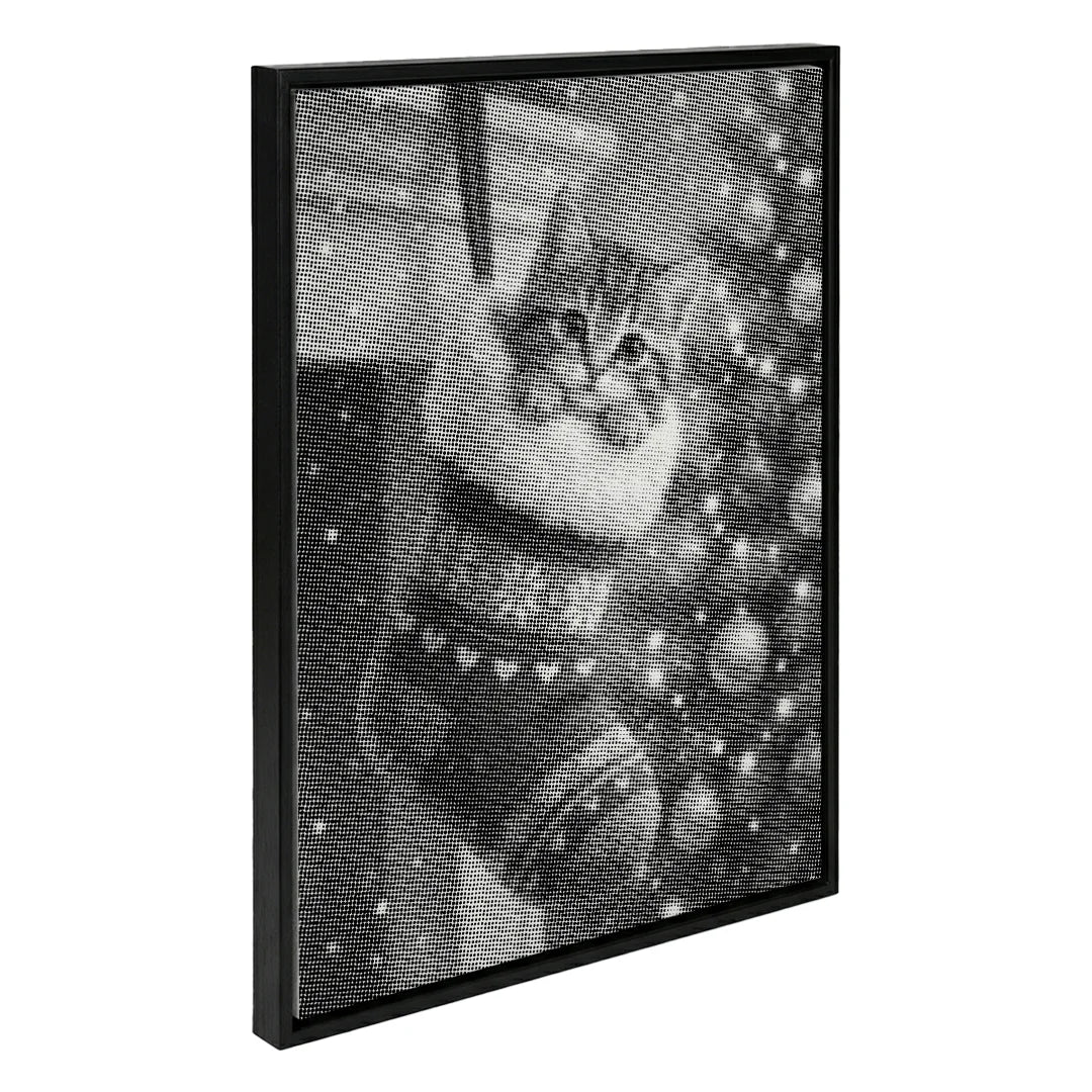 Chaton dans une peinture à pois de chaussette de Noël