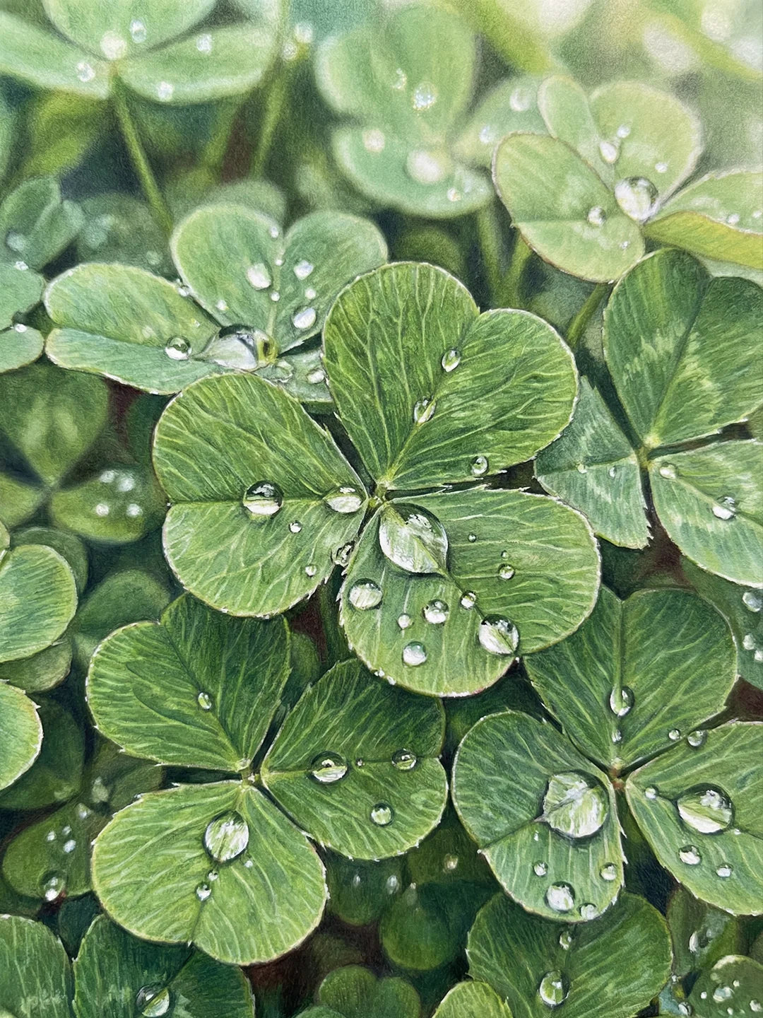 Trèfle avec des gouttelettes d'eau Dot Painting