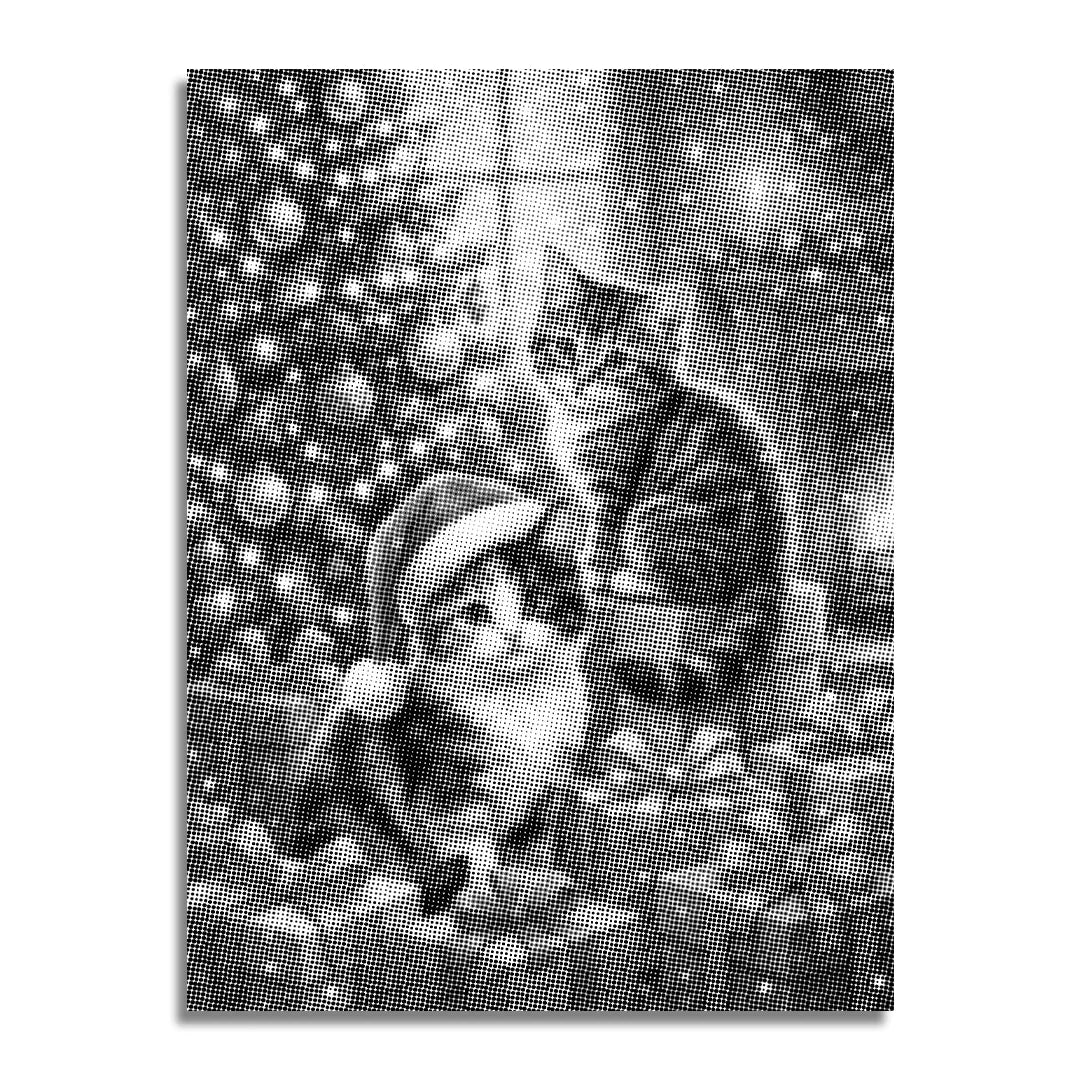 2 peintures à points de chats de Noël