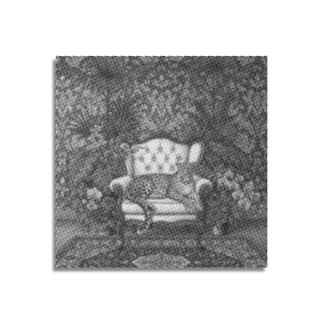 Peinture à pois roi léopard