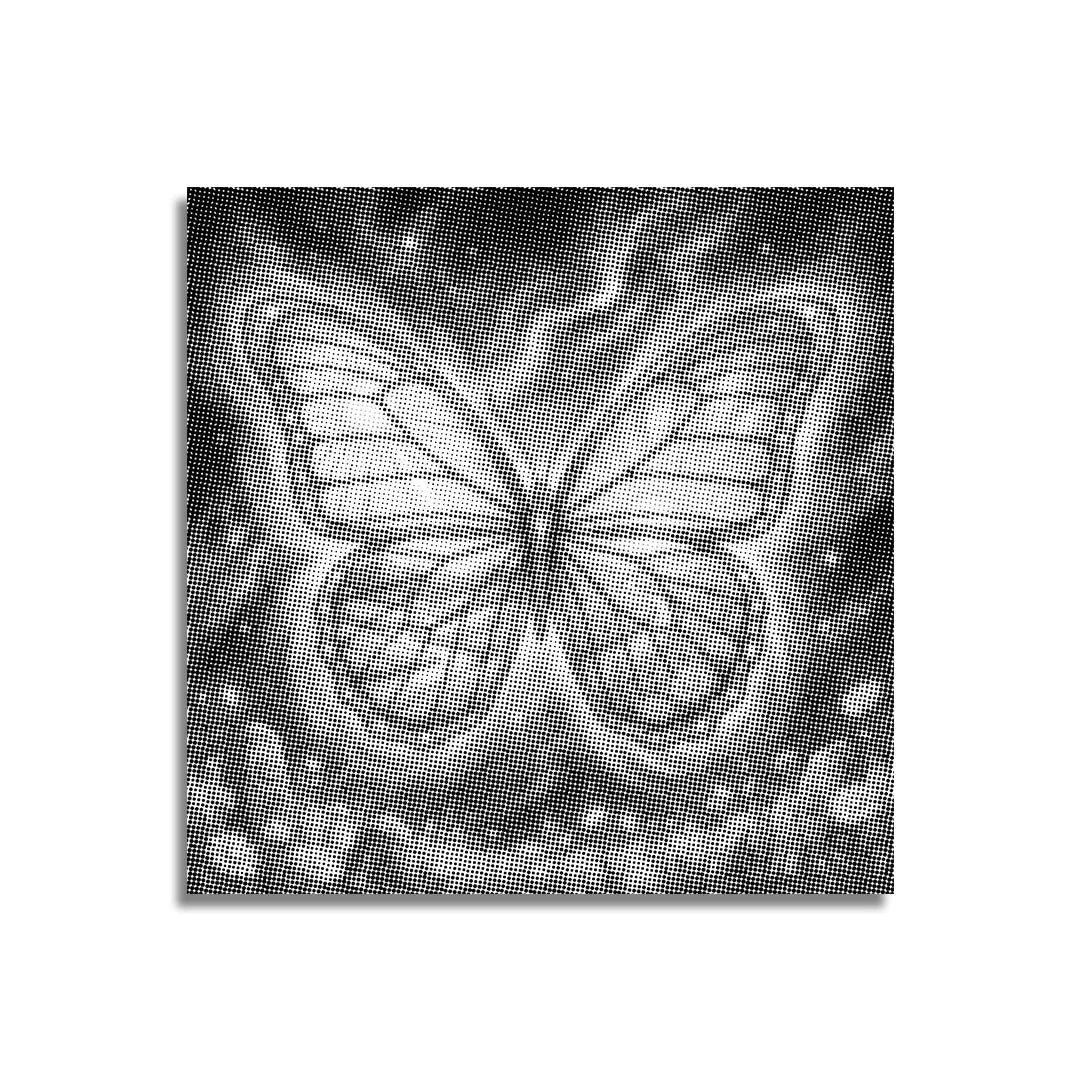 Peinture à points Papillon des 4 Saisons