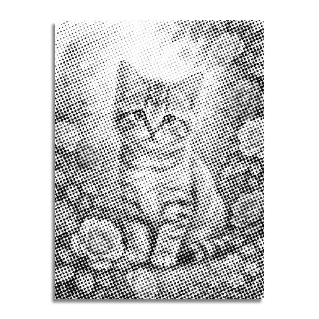 Peinture à points de chat avec des fleurs