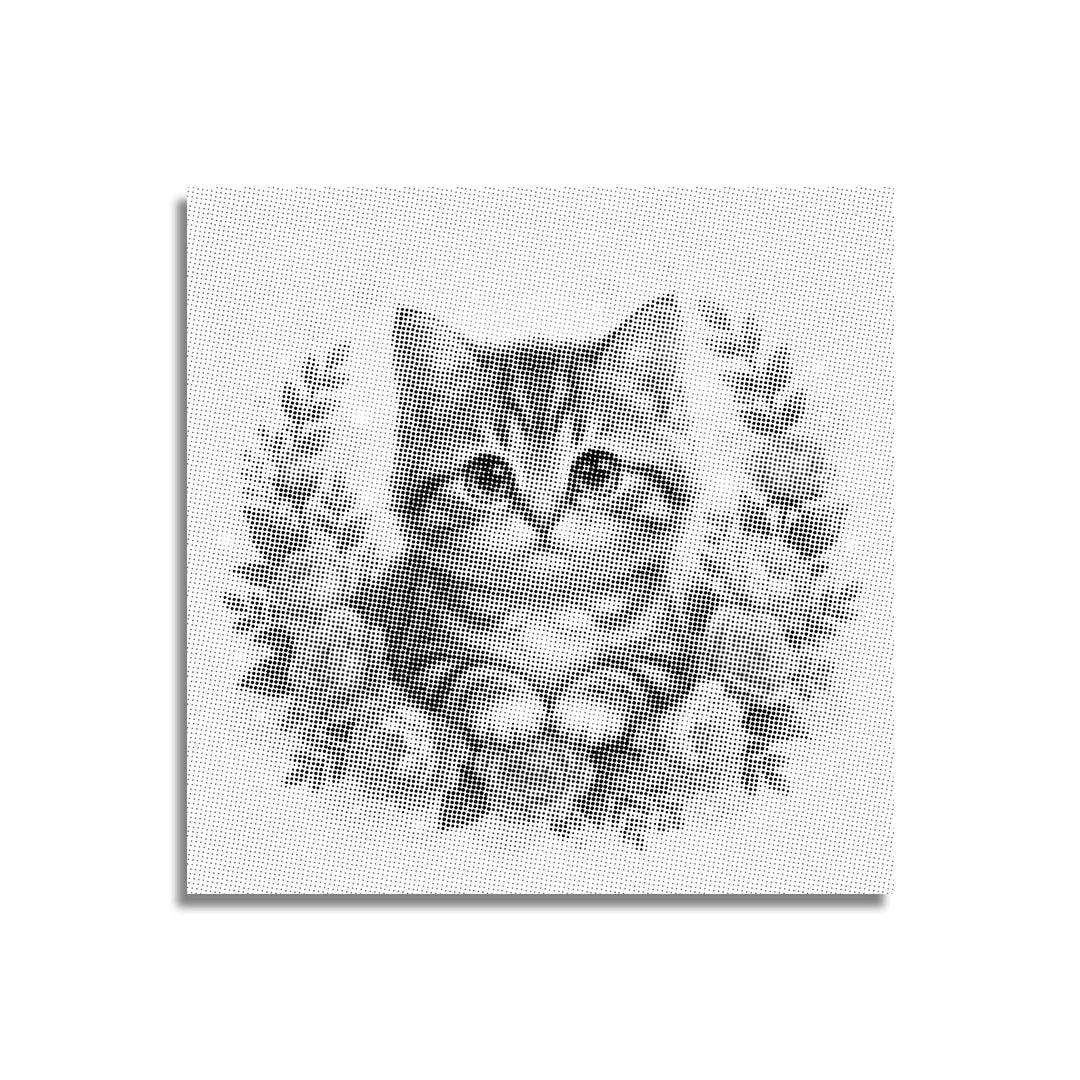 Chat avec des fleurs, peinture à 2 points