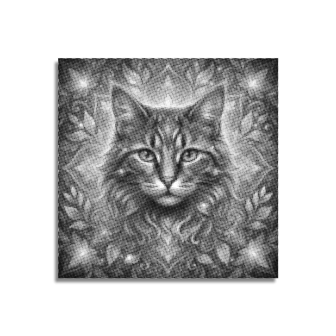 Chat avec peinture à pois de fleurs