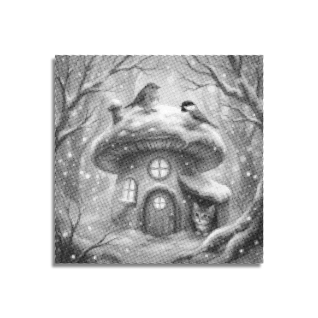 Chaton et oiseaux dans la peinture à points de neige