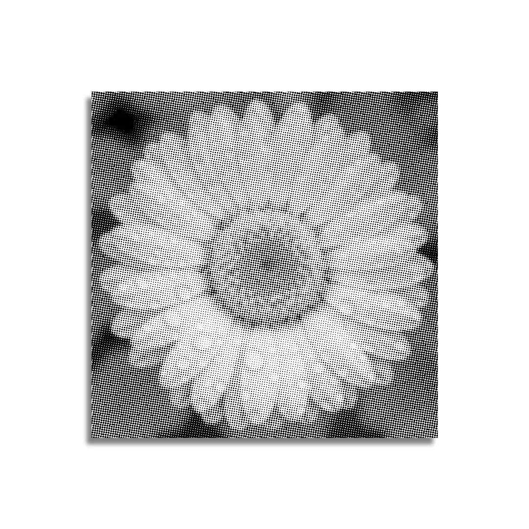 Fleur avec des gouttelettes d’eau Dot Painting