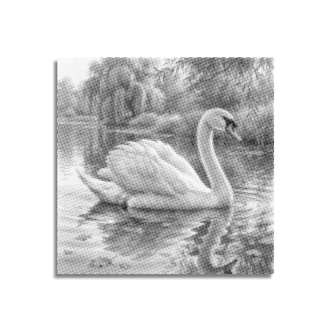 Peinture à points de cygne