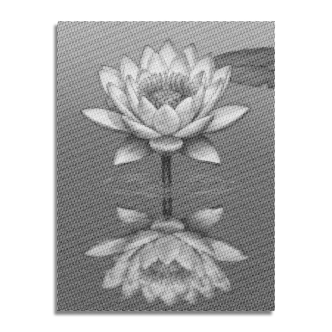 Nénuphar sur la peinture à points d’eau