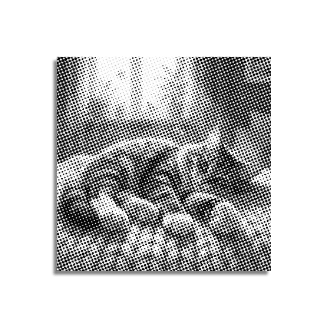 Peinture à points de chat endormi