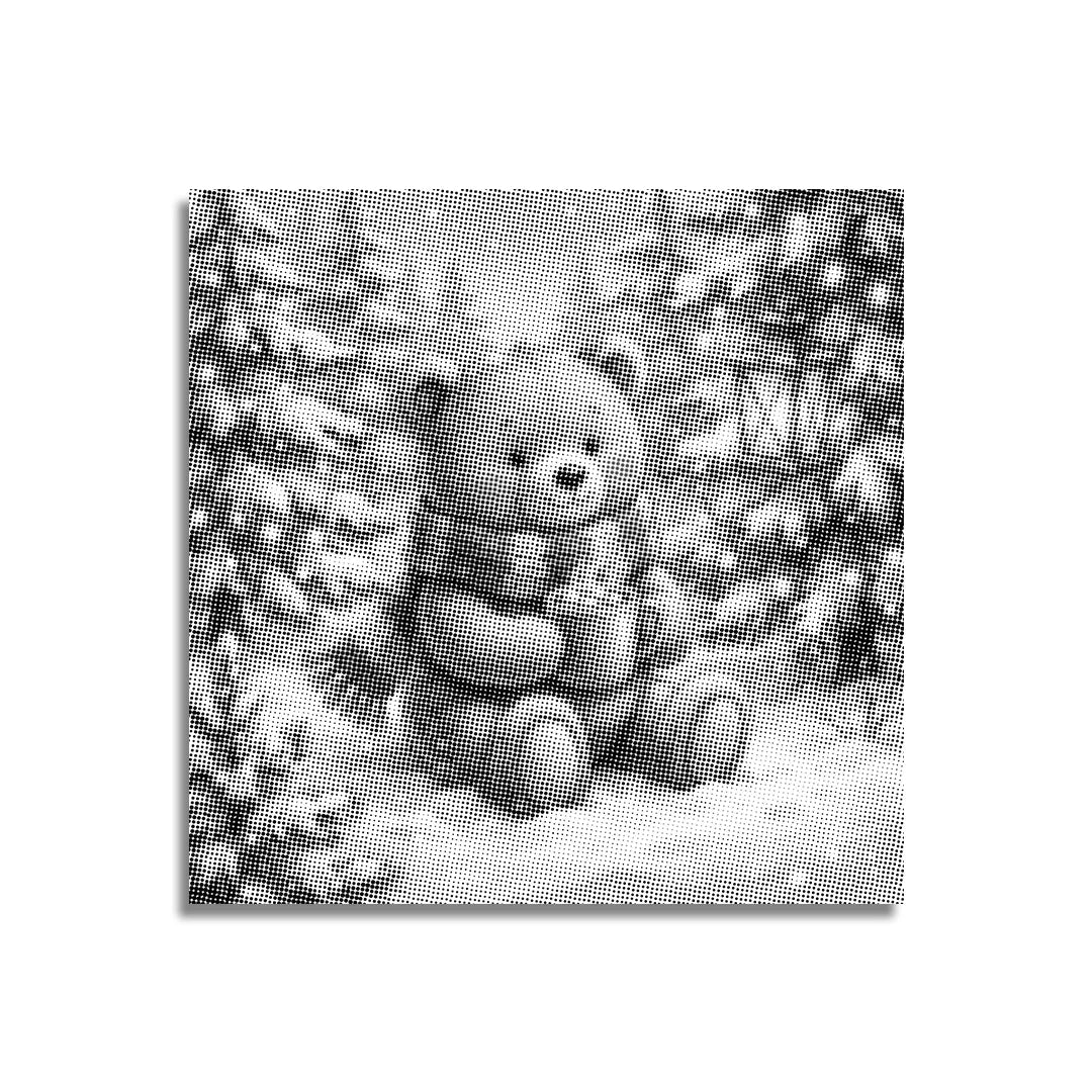 Peinture à pois d’ours d’hiver