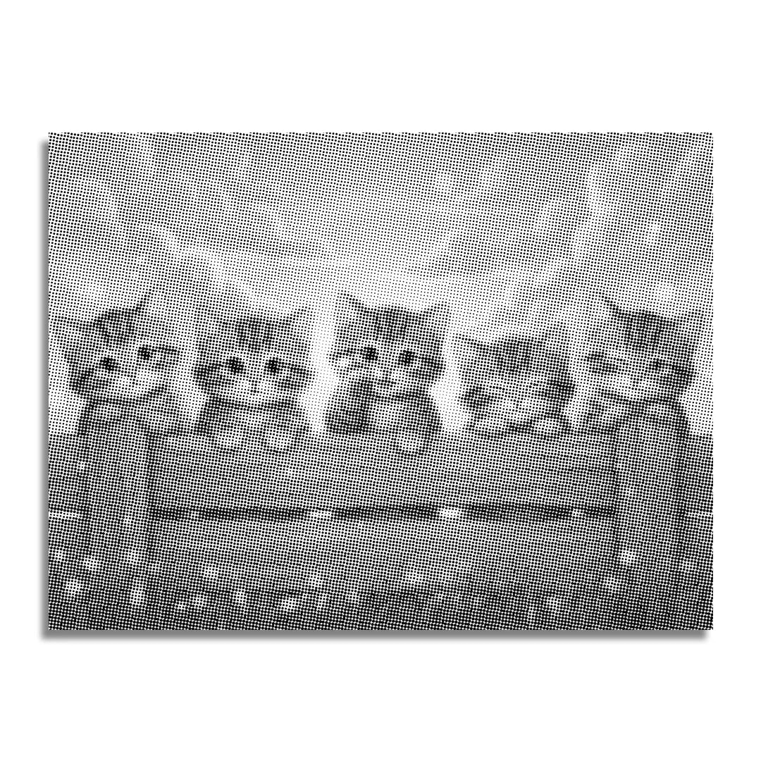 Chatons sur la peinture à points de clôture