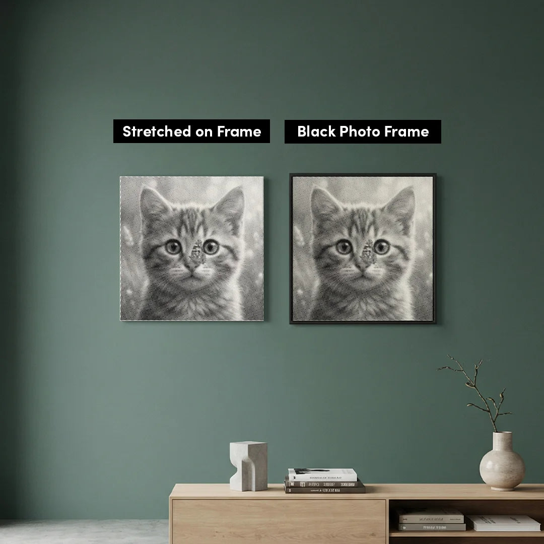 Chat avec peinture à pois papillon
