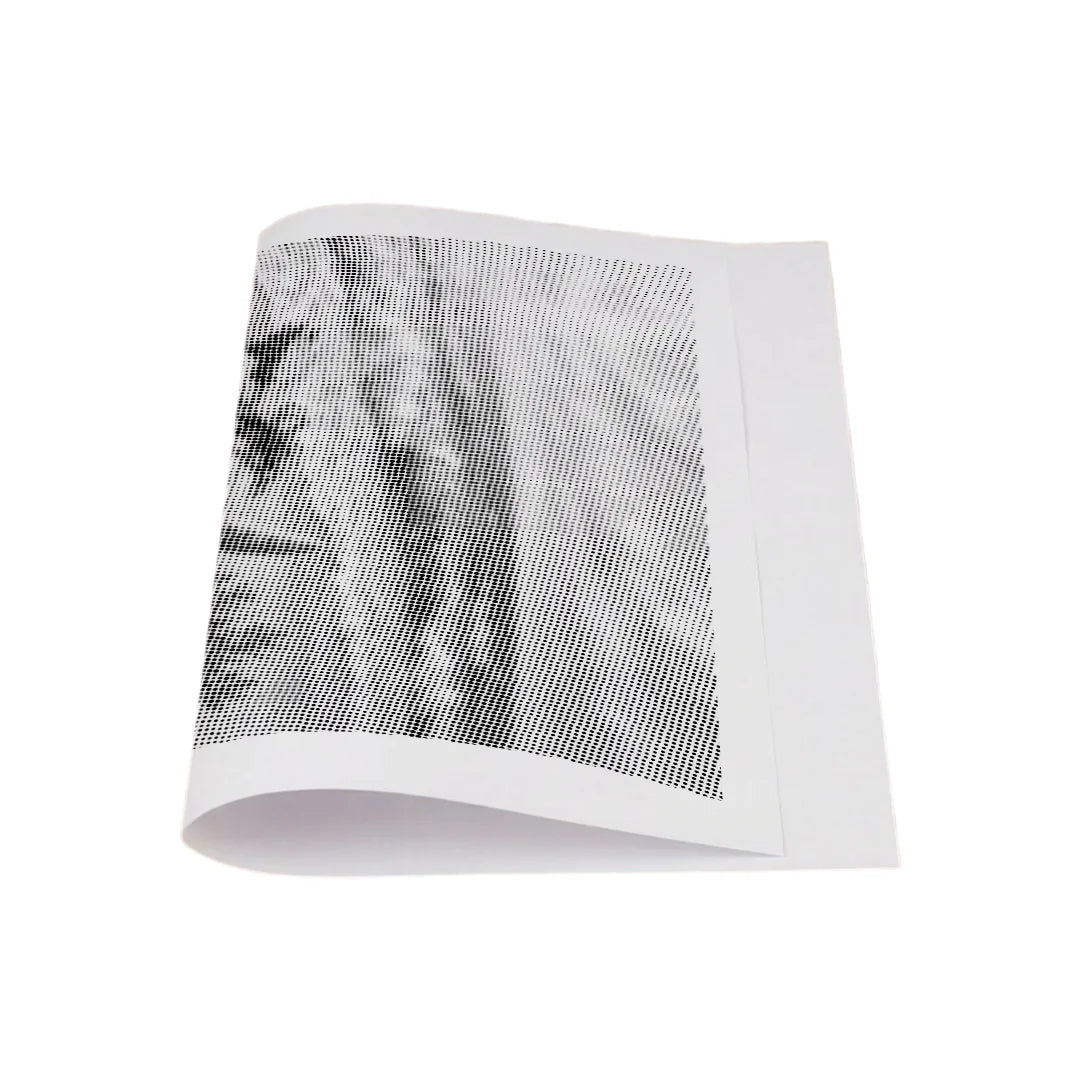 Coquillages sur la peinture à points de plage