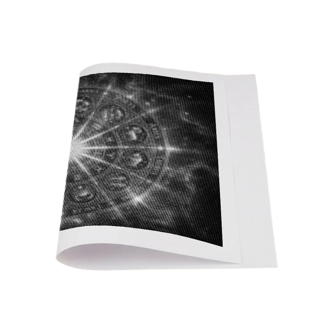 Peinture de points du zodiaque