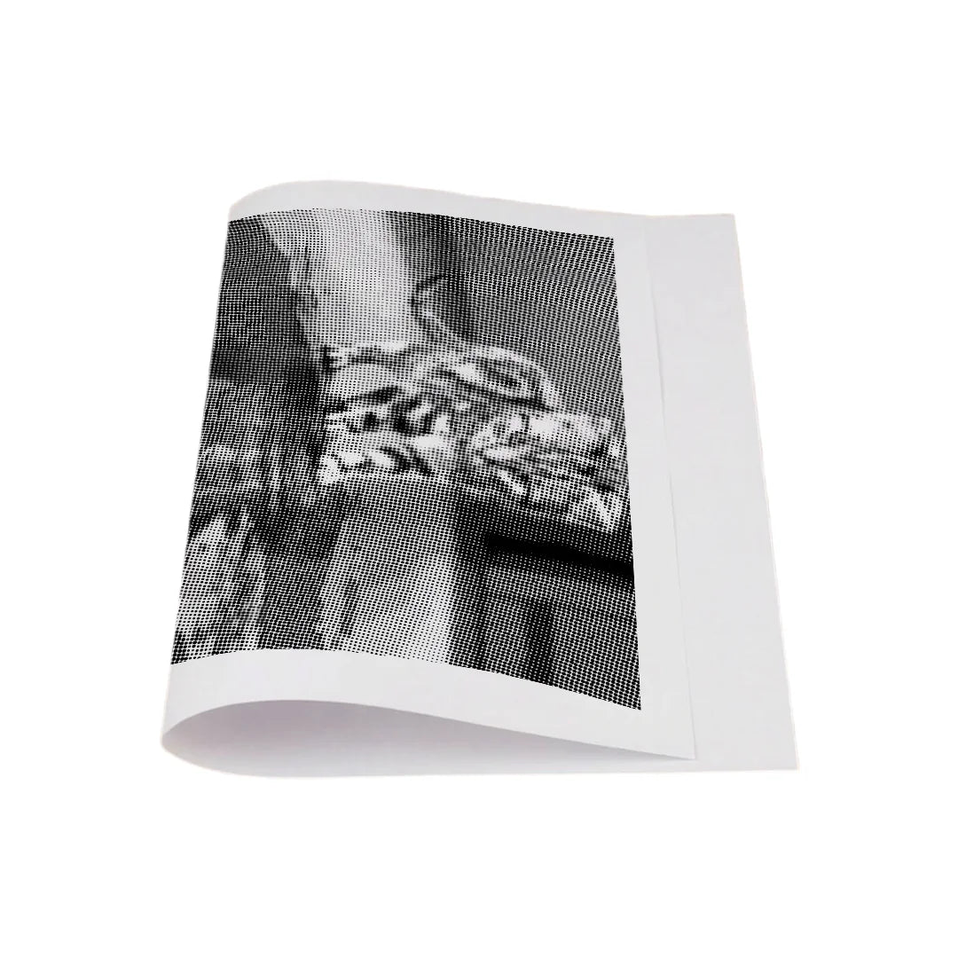 Dot Painting Chat avec Reflet de Tigre