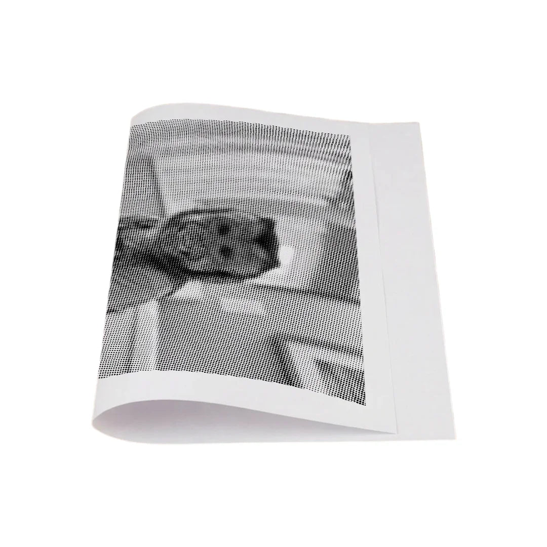 Dot Painting Singe sur des Toilettes