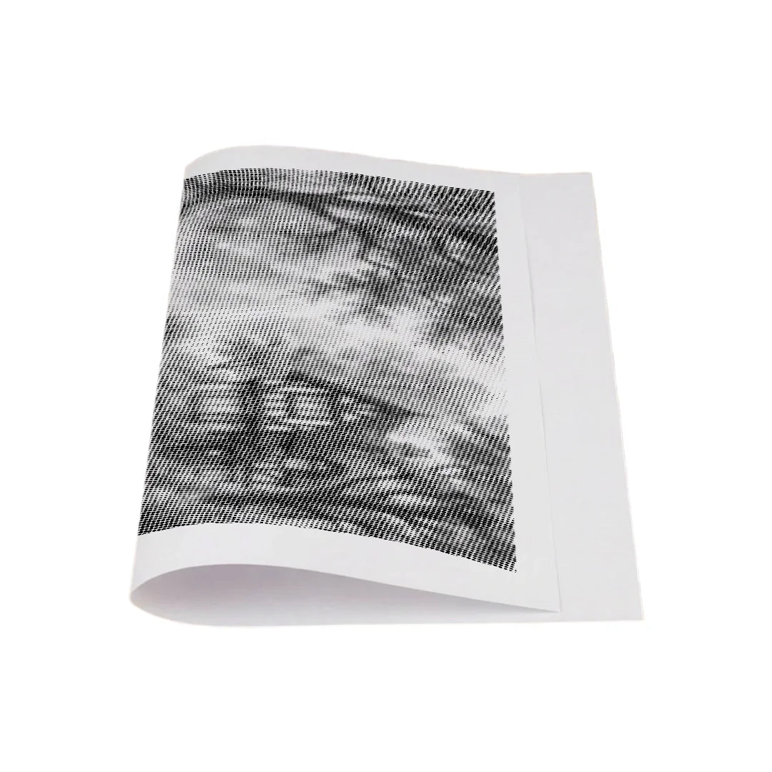 Peinture à points du lac des cygnes