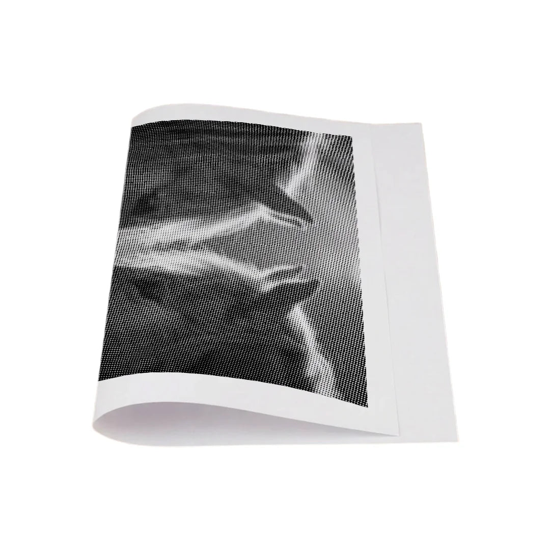 Dot Painting Deux Chevaux