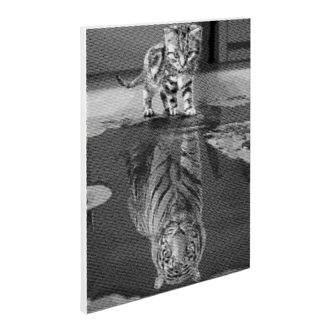 Dot Painting Chat avec Reflet de Tigre