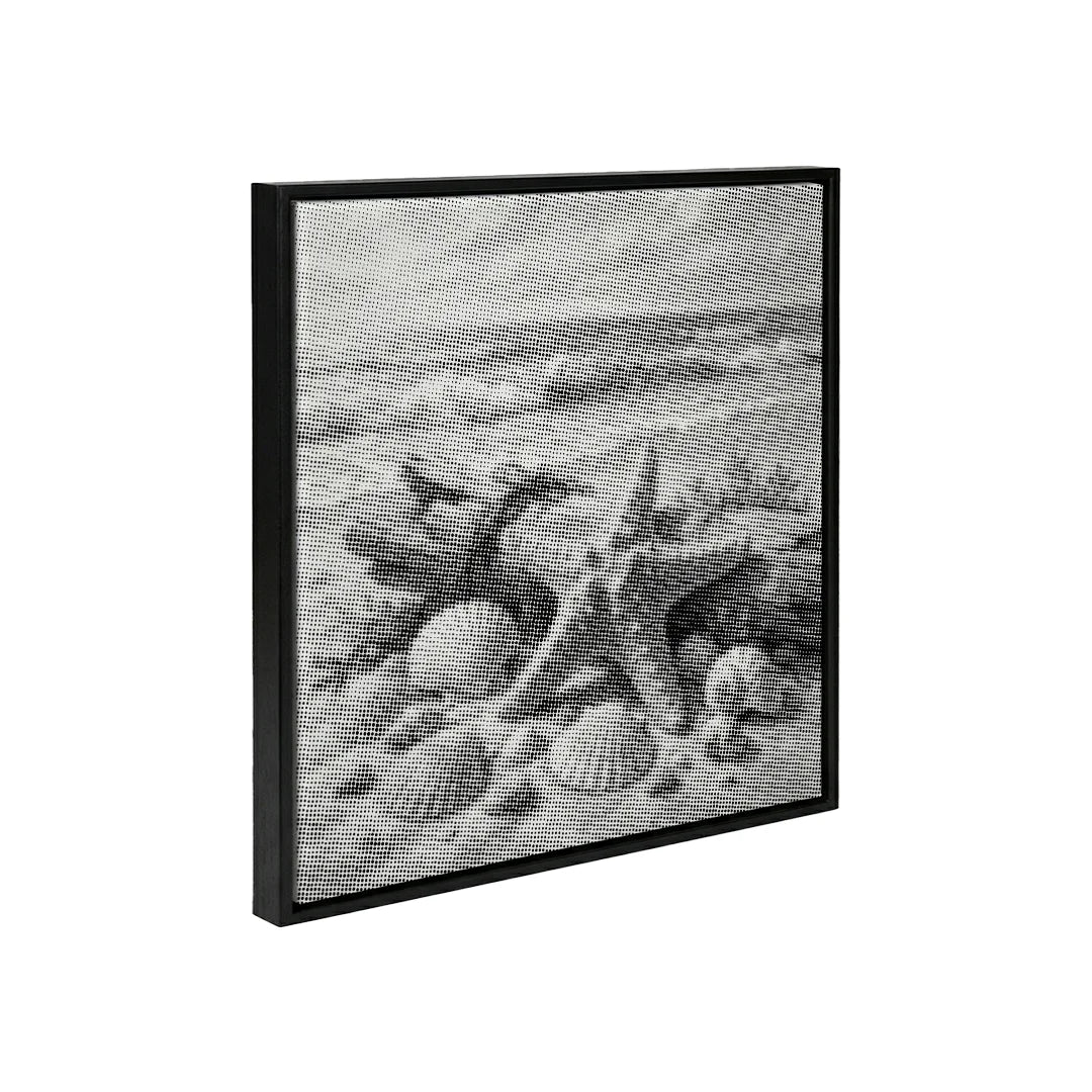 Coquillages sur la peinture à points de plage