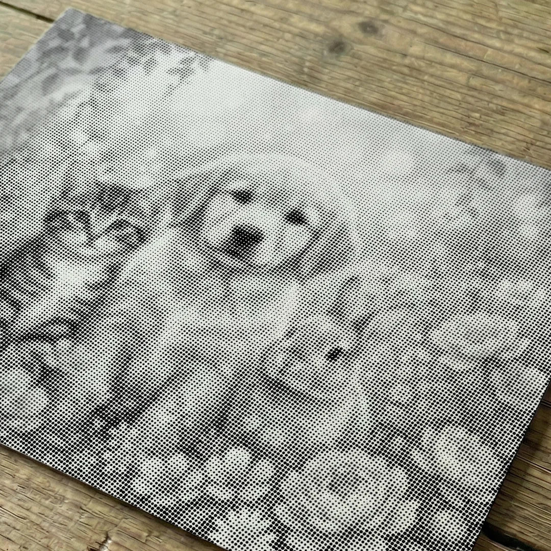 Peinture de point de chien de chat et de lapin