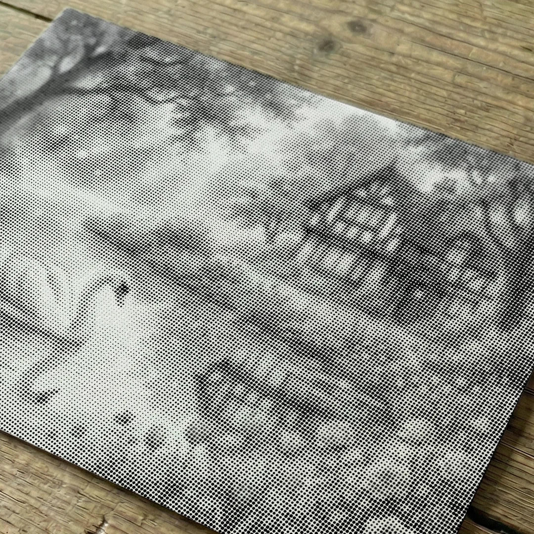 Peinture à points du lac des cygnes